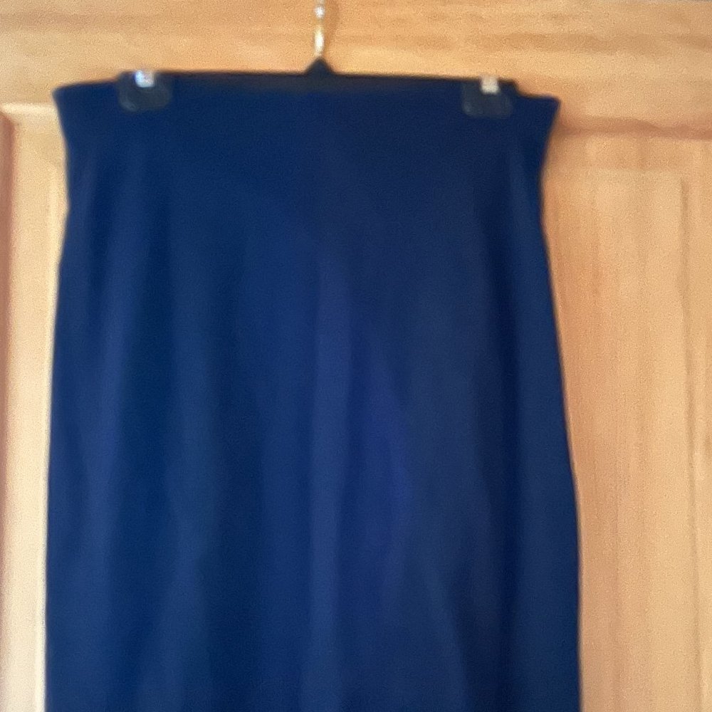 Ann Taylor Size Med Pencil Skirt NWT
